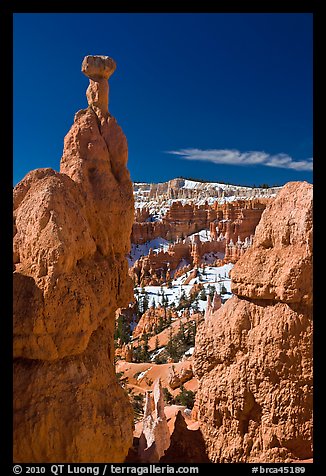 Hoodoos capped by dolomite rocks and amphitheater. Bryce Canyon National Park, Utah, USA.