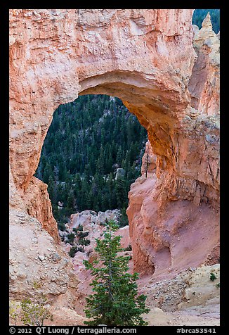 Natural Bridge. Bryce Canyon National Park, Utah, USA.