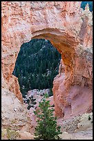 Natural Bridge. Bryce Canyon National Park ( color)