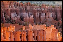 Rows of hoodoos. Bryce Canyon National Park ( color)