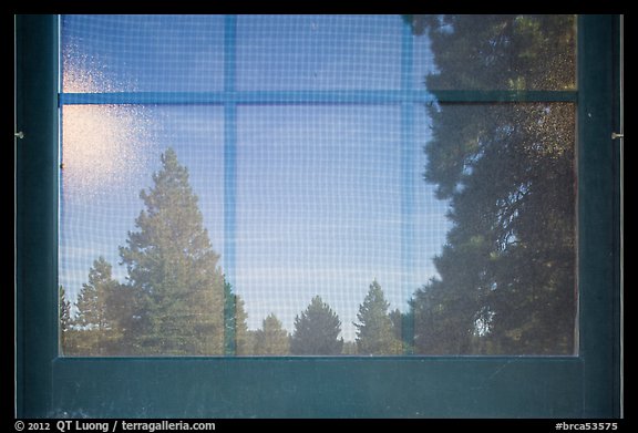 Fir trees, Visitor Center window reflexion. Bryce Canyon National Park, Utah, USA.