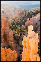 Hoodoos of Claron Formation, Fairyland Point. Bryce Canyon National Park ( color)