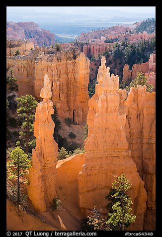 Hoodoos and cirque, Fairyland Point. Bryce Canyon National Park, Utah, USA.