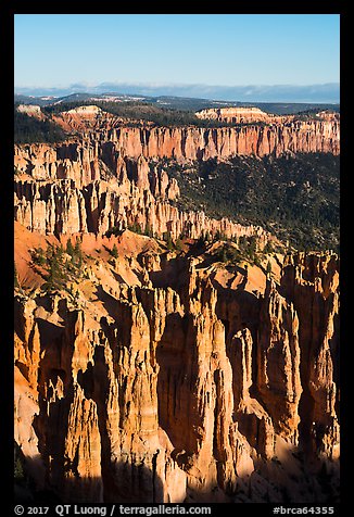 Pink cliffs from Rainbow Point, early morning. Bryce Canyon National Park, Utah, USA.