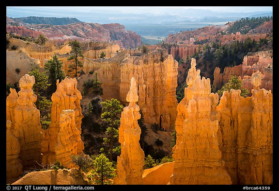 Hoodoos and Fairyland Canyon, early morning. Bryce Canyon National Park (color)