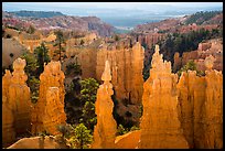 Hoodoos and Fairyland Canyon, early morning. Bryce Canyon National Park ( color)