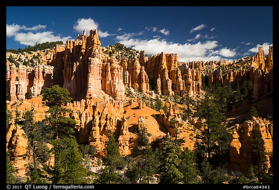 Hill with hoodoos along Fairyland Loop. Bryce Canyon National Park (color)