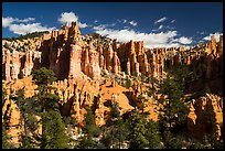 Hill with hoodoos along Fairyland Loop. Bryce Canyon National Park ( color)