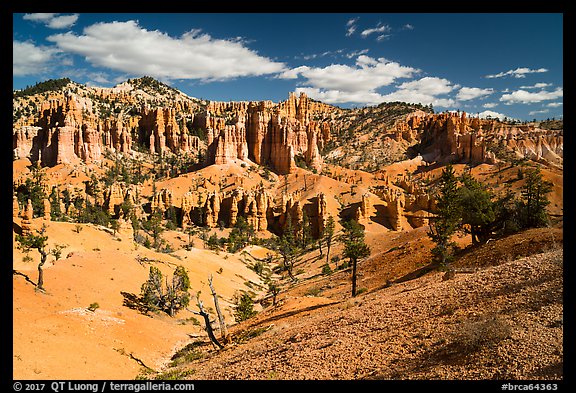 Mesa with hoodoos seen from below. Bryce Canyon National Park, Utah, USA.