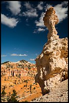 Mushroom-shaped freestanding hoodoo. Bryce Canyon National Park ( color)