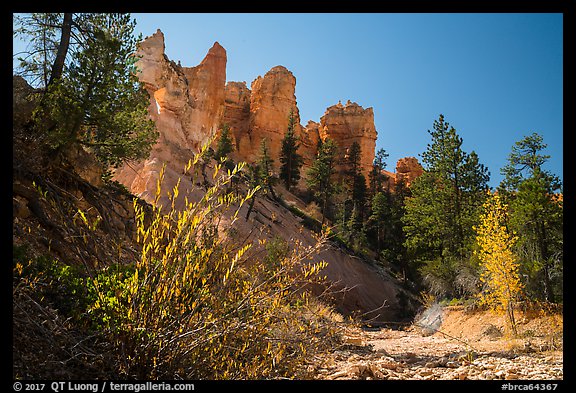 Dry creek with autumn foliage and hoodoos. Bryce Canyon National Park, Utah, USA.