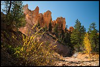 Dry creek with autumn foliage and hoodoos. Bryce Canyon National Park, Utah, USA.