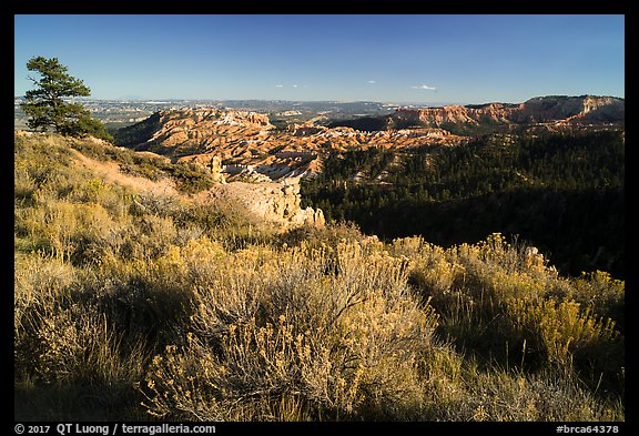 Grassy rim and amphitheater. Bryce Canyon National Park (color)