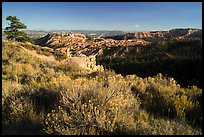 Grassy rim and amphitheater. Bryce Canyon National Park ( color)