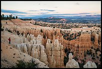 Visitor looking, near Fairyland Point. Bryce Canyon National Park, Utah, USA.