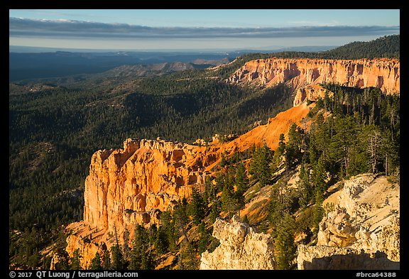 Pink cliffs and forest at sunrise from Rainbow Point. Bryce Canyon National Park, Utah, USA.