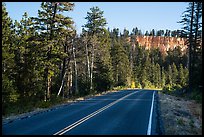 Park road. Bryce Canyon National Park ( color)