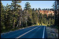 Park road. Bryce Canyon National Park, Utah, USA.