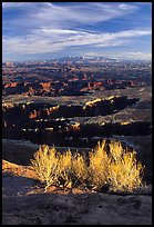 Monument Basin from Grand view point, Island in the sky. Canyonlands National Park, Utah, USA. (color)