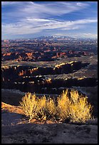 Monument Basin from Grand view point, Island in the sky. Canyonlands National Park ( color)