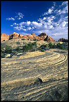 Sandstone swirls near Elephant Hill, the Needles, late afternoon. Canyonlands National Park, Utah, USA. (color)