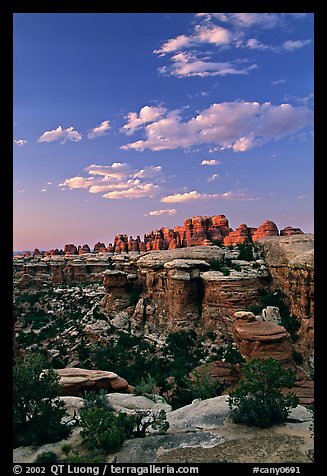 Last light on the Needles. Canyonlands National Park, Utah, USA.