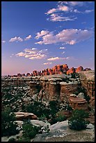 Last light on the Needles. Canyonlands National Park, Utah, USA. (color)