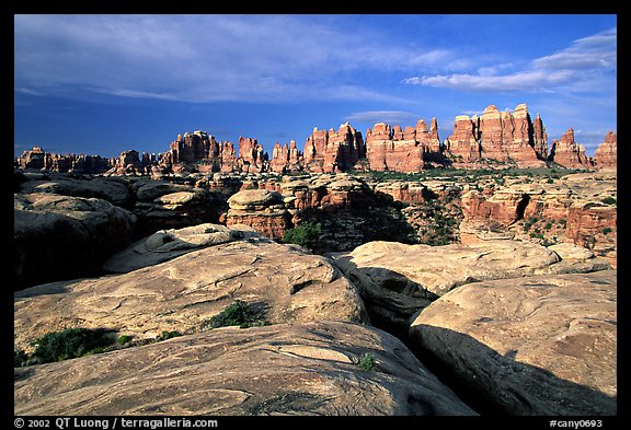 Needles near Elephant Hill, sunrise. Canyonlands National Park, Utah, USA.