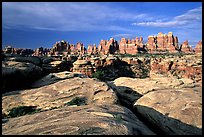 Needles near Elephant Hill, sunrise. Canyonlands National Park ( color)