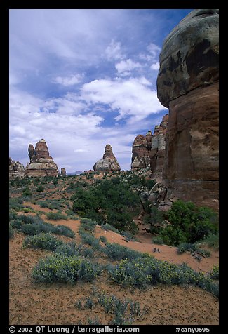 Sandstone towers, Chesler Park. Canyonlands National Park, Utah, USA.