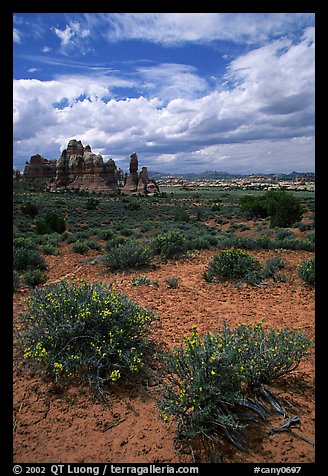 Sandstone towers in sandy flat basin, Chesler Park. Canyonlands National Park, Utah, USA.