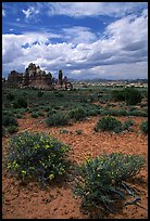 Sandstone towers in sandy flat basin, Chesler Park. Canyonlands National Park, Utah, USA.