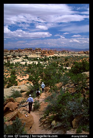 Hikers on the Chesler Park trail, the Needles. Canyonlands National Park (color)
