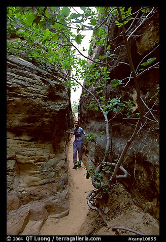 Hiker in narrow passage between rock walls, the Needles. Canyonlands National Park (color)