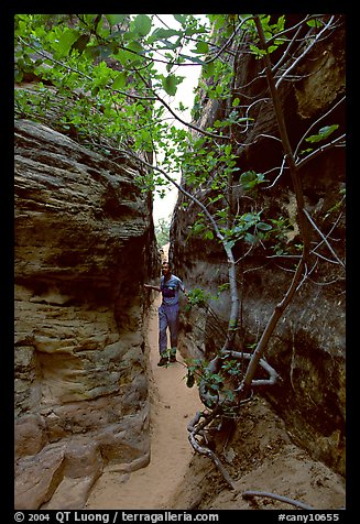 Hiker in narrow passage between rock walls, the Needles. Canyonlands National Park, Utah, USA.