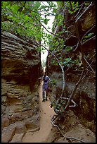 Hiker in narrow passage between rock walls, the Needles. Canyonlands National Park ( color)