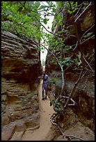 Hiker in narrow passage between rock walls, the Needles. Canyonlands National Park, Utah, USA. (color)