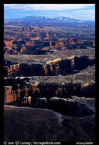 Monument basin from Grand View Point, Island in the Sky, late afternoon. Canyonlands National Park, Utah, USA.