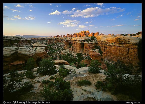 Elephant Canyon at sunset, the Needles. Canyonlands National Park, Utah, USA.