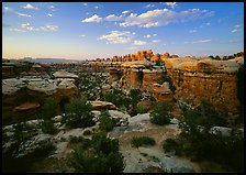 Elephant Canyon at sunset, the Needles. Canyonlands National Park, Utah, USA.