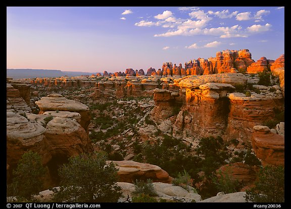 Elephant Valley, sunset. Canyonlands National Park, Utah, USA.