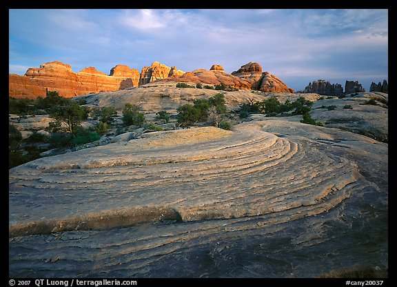 Rock swirls and spires at sunset, Needles District. Canyonlands National Park, Utah, USA.