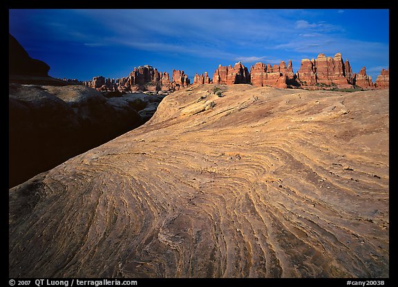 Sandstone swirls and Needles near Elephant Hill at sunrise, the Needles. Canyonlands National Park, Utah, USA.