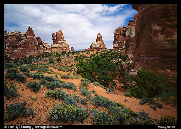 Sandstone towers, Chesler Park. Canyonlands National Park (color)