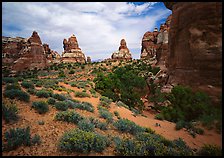 Sandstone towers, Chesler Park. Canyonlands National Park ( color)