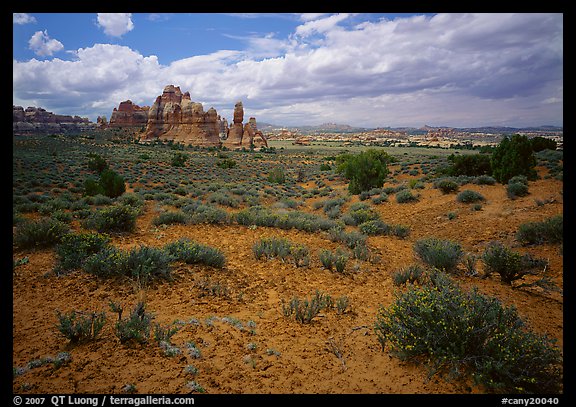 Chesler Park. Canyonlands National Park, Utah, USA.