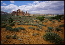 Chesler Park. Canyonlands National Park ( color)