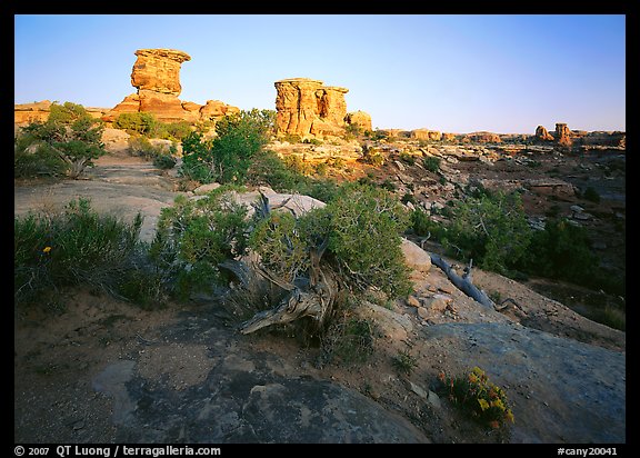 Spires at Big Spring Canyon, Needles District. Canyonlands National Park (color)