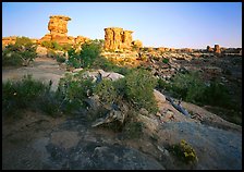 Spires at Big Spring Canyon, Needles District. Canyonlands National Park, Utah, USA.