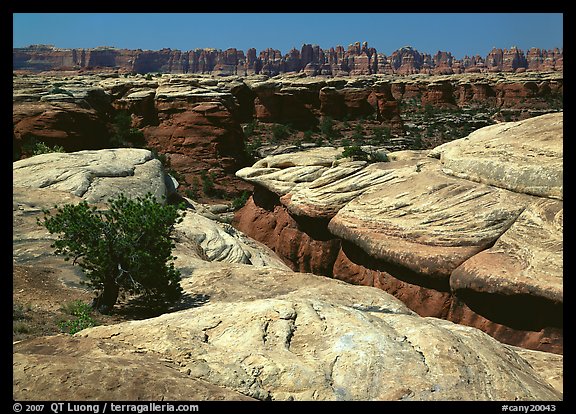 Crack and rock needles near Elephant Hill, mid-day, Needles District. Canyonlands National Park, Utah, USA.